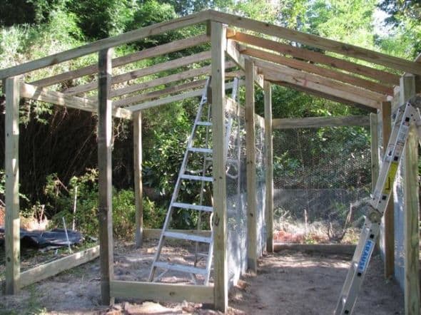 How to Build a Chicken Coop and Greenhouse Combo 