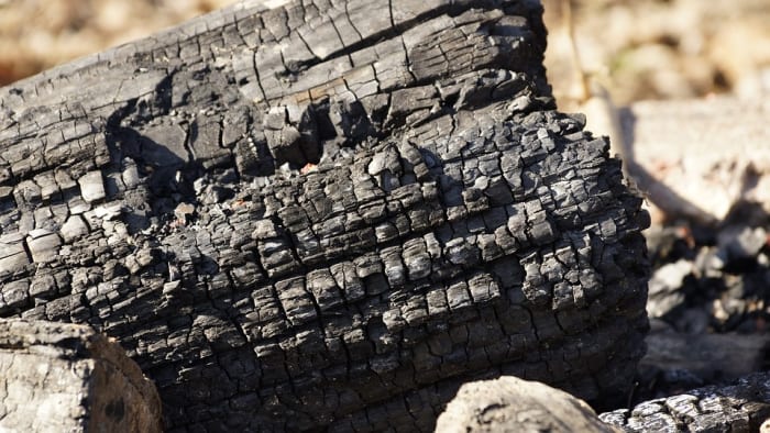 This wooden log is charred through and through. The bones after a 6th-degree burn looks much the same.