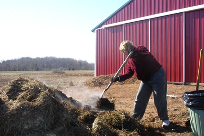 Compost - here I am shoveling chicken poop. Check out the steam. That stuff was pretty warm. This was in February.