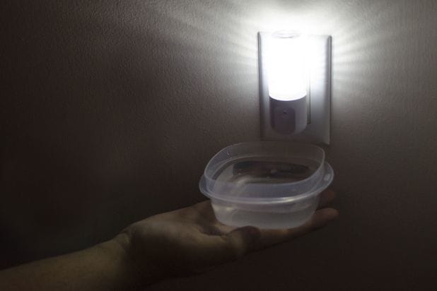 If you suspect that you have a flea problem, leave a bowl of dish soap under a nightlight. The soapy water combined with the light will attract fleas, who will die when contacting the water.