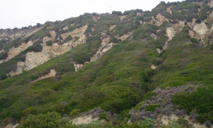 Rainwater flows down runnels in the sides of hills, then sits in hollows to be absorbed into the ground. The way you lay out your landscape could utilize the rain that comes naturally, without your having to water more.