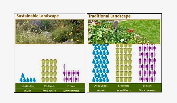 These charts show the comparison of the native and traditional gardens' use of water, production of green waste, and maintenance requirements.