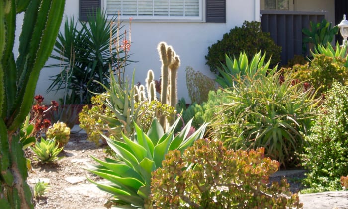This cactus/succulent garden reflects the Southwest Desert style, and is wholly appropriate for Southern California. There are quite a few houses in my neighborhood that have elements of this style.