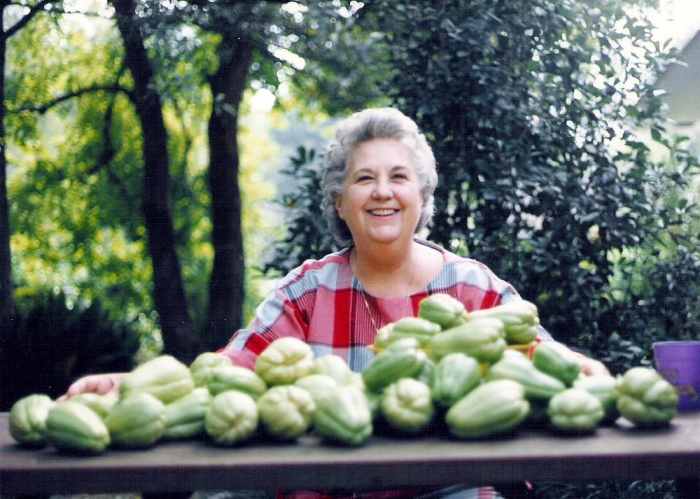 My mother-in-law, Dottie, with a few of the mirlitons that we grew one year.