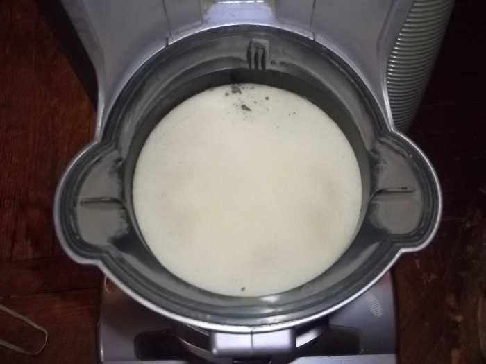 How to Clean the Shark Navigator Vacuum and Filters Dengarden Home