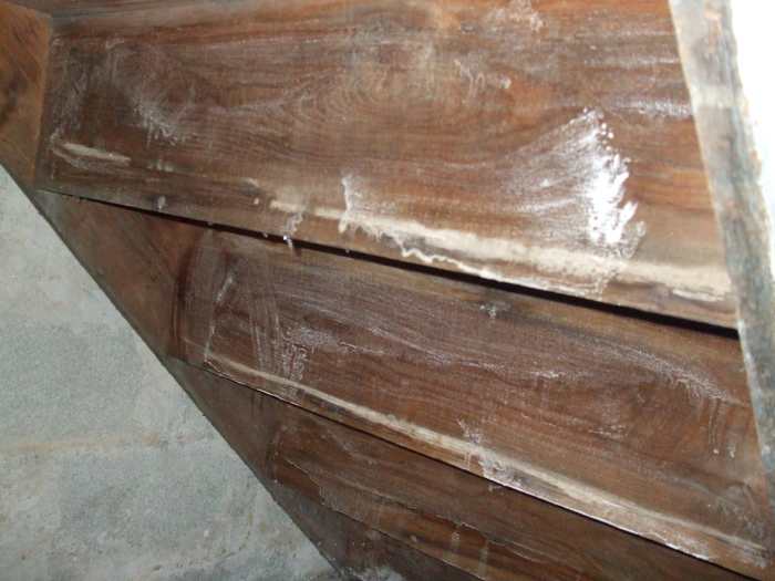 How to Treat a Mold Infestation on Wood With Borax 20 Mule Team Powder Dengarden Home and Garden