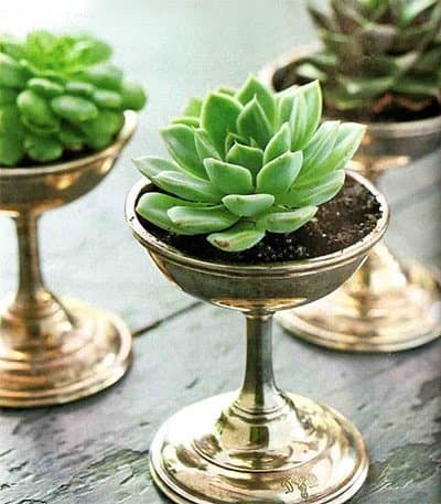 Adorable pewter glass planters for indoors. I'm not sure where the hole is in these ones, but if you put a hole somewhere inconspicuous, it will increase the time between repottings.