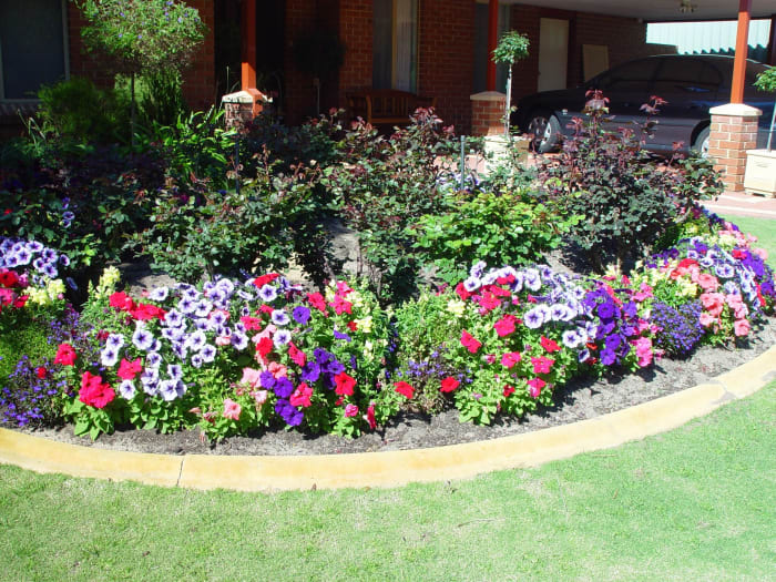 A Small Garden with Perennial Flowers Surrounded by Annual Flowers