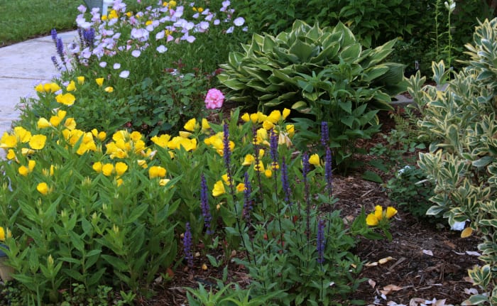 Except for two herbs from the Baltimore Herb Festival, I filled the pots with plants from our flowerbeds, including the purple salvia in the foreground..
