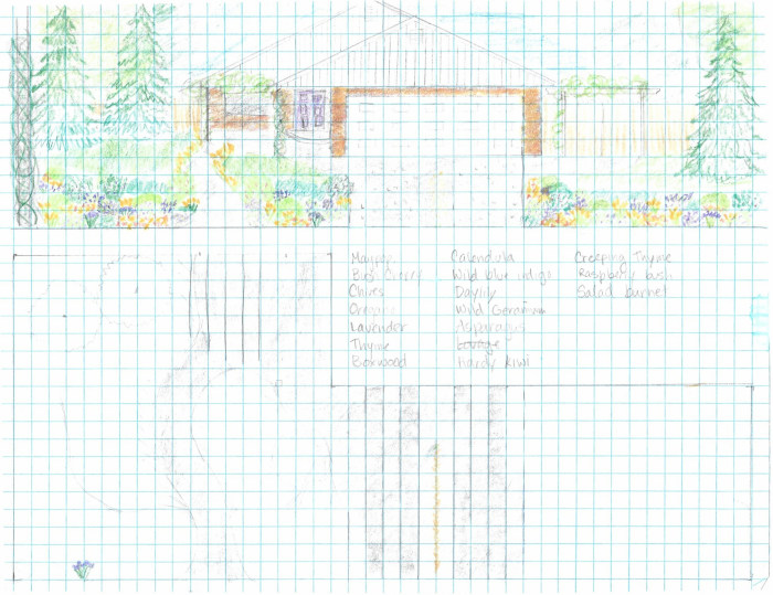 Of the many plans I made up. This is closest to what I eventually settled on, except I placed almond and elderberry where the large conifers are in the drawing.