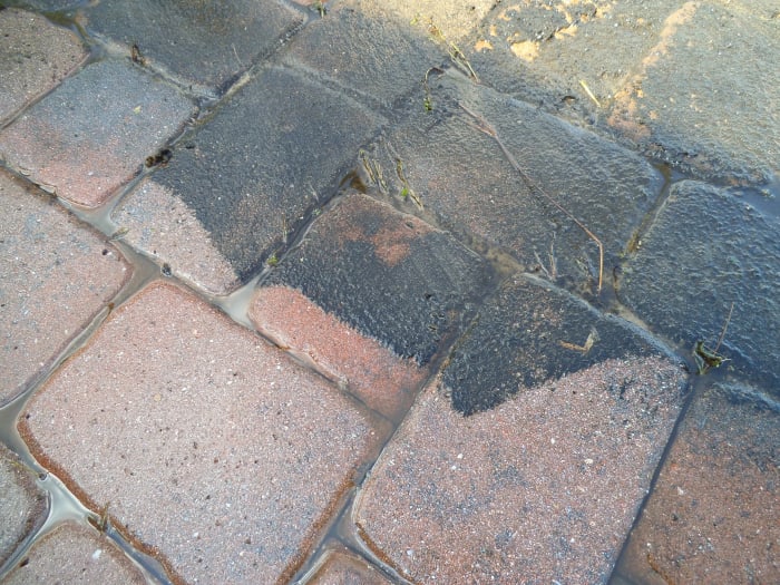 Since many Floridians are snowbirds, they head north in the steamy summers. When they return, the pavers in their screen room might look like this. The pressure washer removes the mold, as you see here.