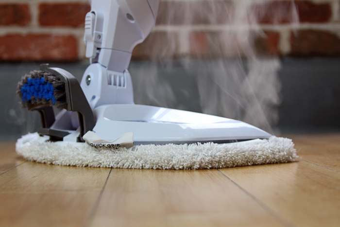 Steam mops are a great way to kill both bed bugs and their eggs, and as a bonus, they can also serve various other cleaning roles around the house.