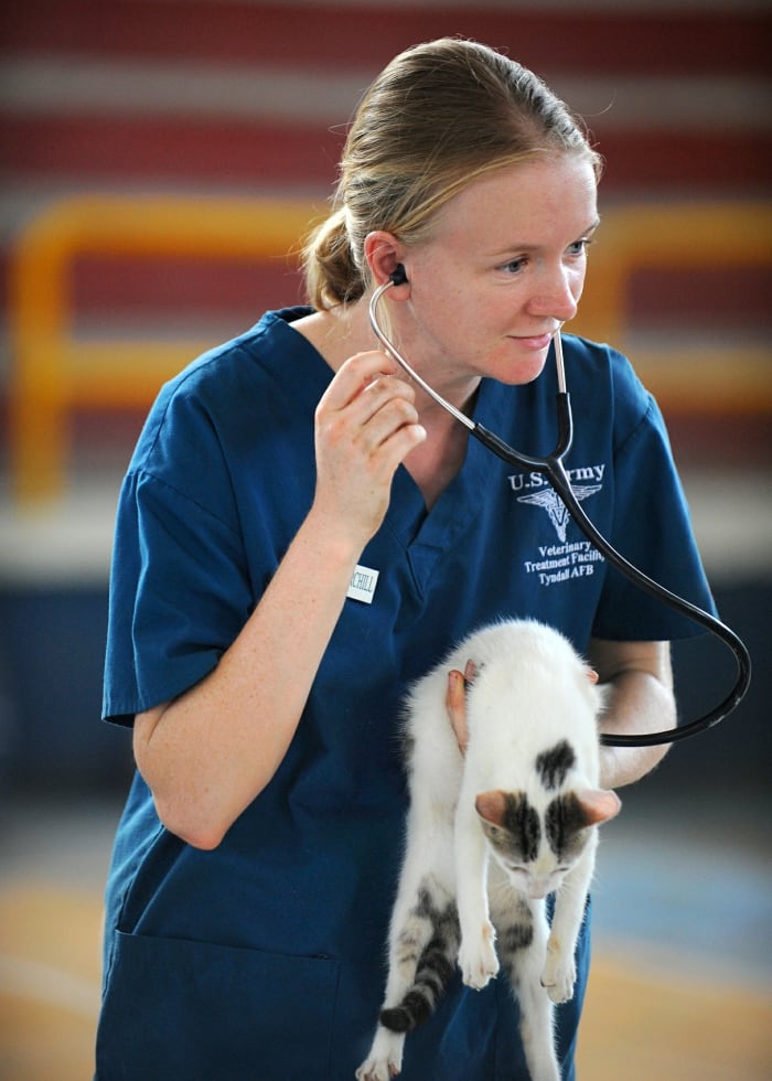 You've updated your family doctor on your new address. Don't forget to update the other doctor your family, furry friends and all, depends on.