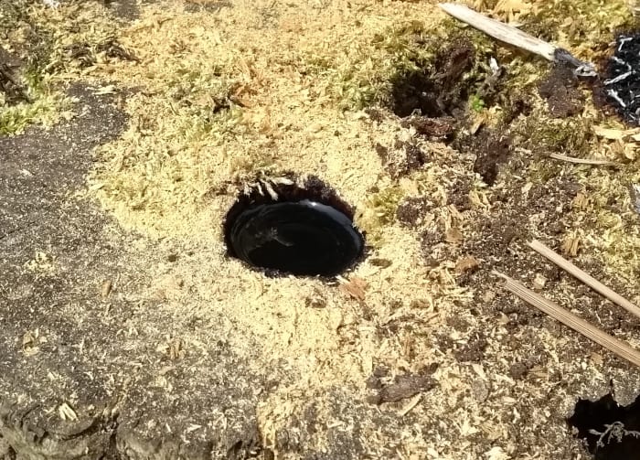 How to Remove a Tree Stump Easily - Dengarden - Home and Garden