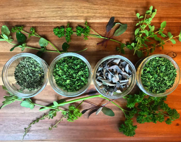How to Dry Herbs From the Garden Dengarden Home and Garden
