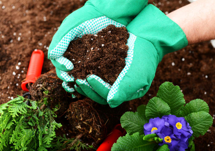 Having healthy and attractive plants in your yard doesn't happen without some planning and work. Get your yard ready for spring planting by following some easy steps.