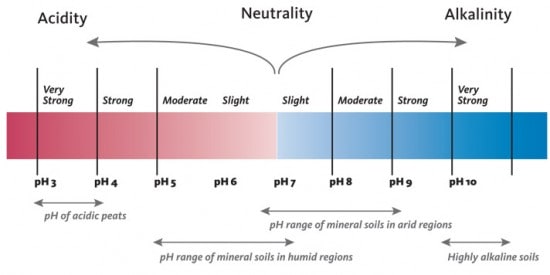 This pH scalegoes from 0 to 14; 7 represents neutral. A pH from 7 to 0 means your soil is acidic; pH from 7 to 14 means it is alkaline.