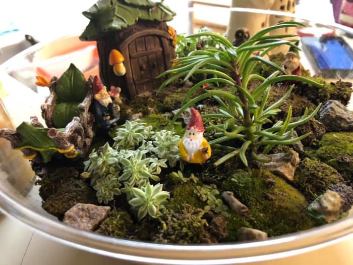 The best kind of terrariums are those that actually have live plants in them. Although there are many fake terrariums for sale, it is actually very cheap and easy to create your own.
