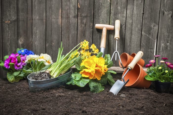 Secrets to Creating a Picture-Perfect Flower Bed - Dengarden - Home and ...