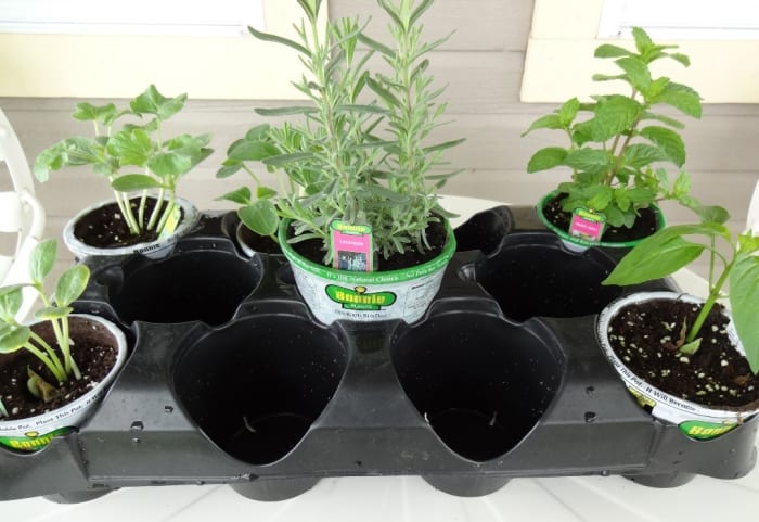 Making Plant Containers Using Household Items - Dengarden ...