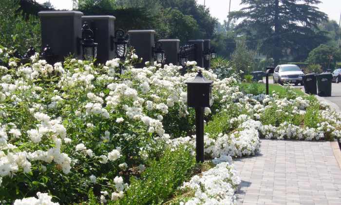 This homeowner has chosen an all-white theme focusing on roses, petunias, and light grey bricks.