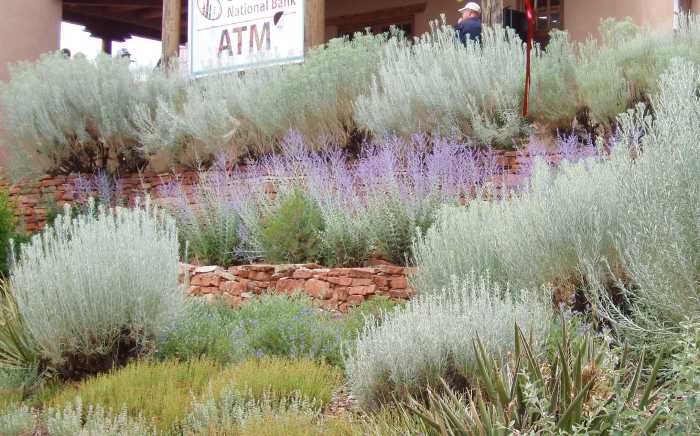 American Southwest style - brick walls mimicking arroyo cliffs, with desert (or Mediterranean) wildflowers. Taken in Santa Fe, New Mexico, 2012.