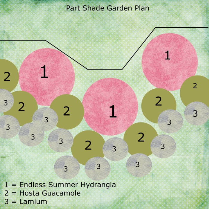 This plan for a partial shade garden uses hydrangeas, hostas, and lamium for a part-shade location.