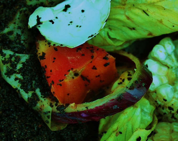Coffee grounds (with filters), tea leaves, eggshells, banana peels, vegetable peels & parings--it's all good material for homemade compost.