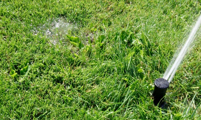 Finding Leaks - Some leaks are pretty easy to find. Others you may have to use equipment to locate.