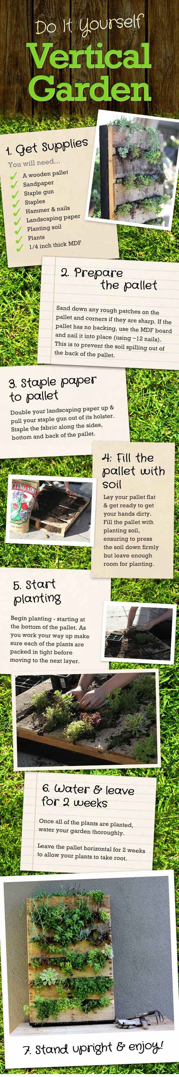 Here's an easy step-by-step guide to help you set up your first vertical garden. I tried this out myself and it worked wonderfully.