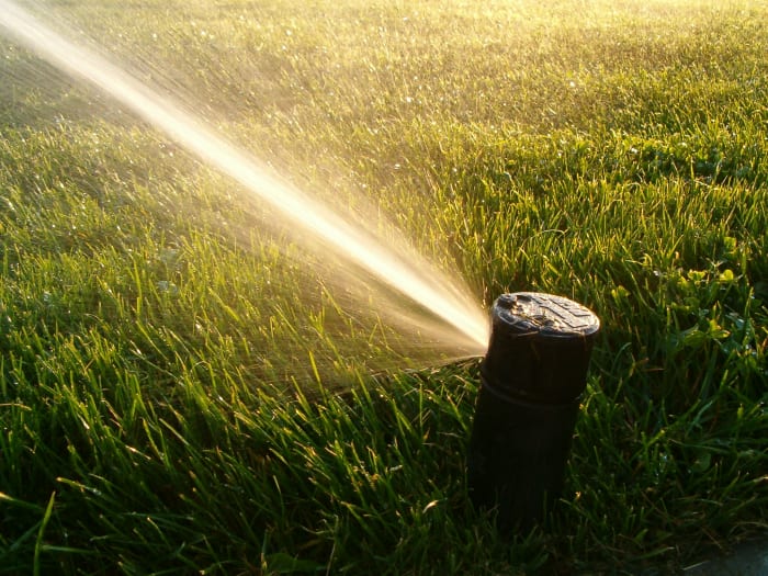 Nobody expects a surprise sprinkler attack! No, seriously. I programmed the thing and it gets me every time.
