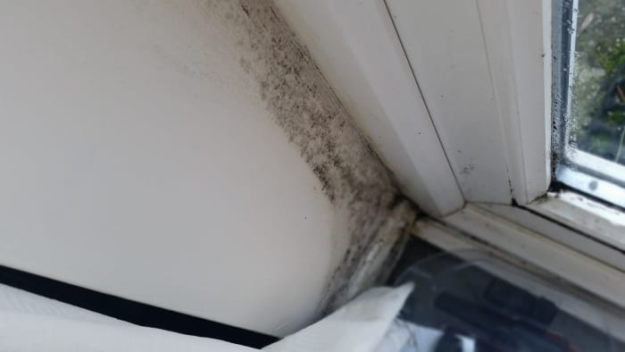 Condensation has caused mildew in this house to do steam developing around windows, caused by cooking.