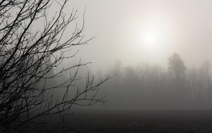 "...the fog didn’t want to have anything to do with him. It started to move away. The farther in he went, the further the fog rolled away from him."