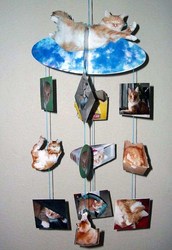 A photo mobile I made for my best friend. I used photos of Rupert, her marmalade tiger cat, because he's such a cute little ham.