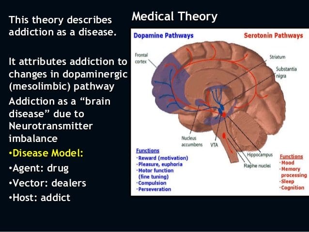 Addiction Is a Disease of Choice - YouMeMindBody - Health & Wellness