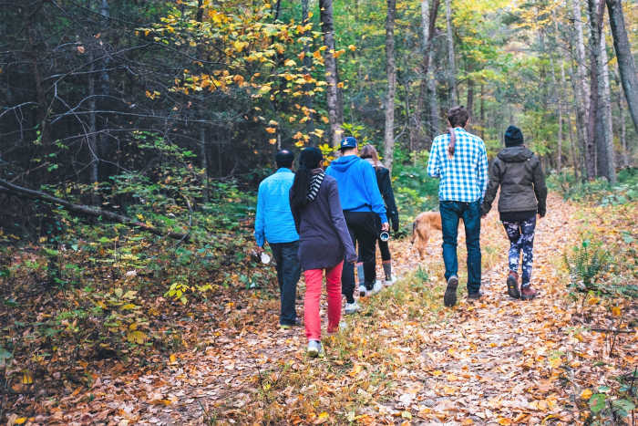 Regular walking in the countryside or in a city can boost the immune system and protect the body from viral infections.