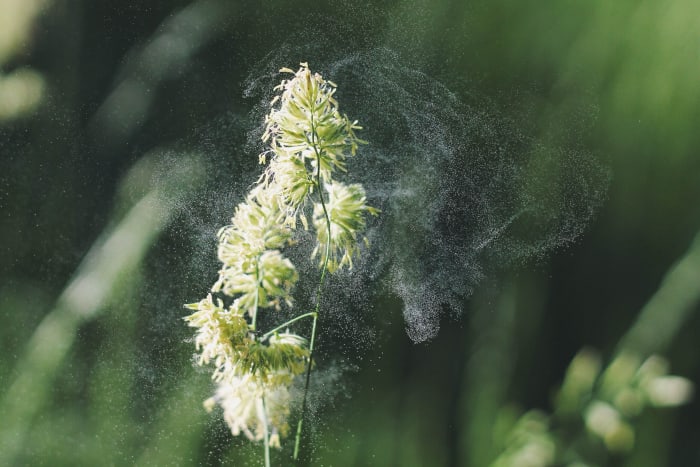 If you're allergic to the pollen in the air, then you may have a cross-reaction with fruits and vegetables.
