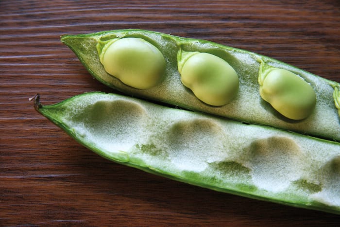 Broad beans, or fava beans, cause hemolytic anemia in some people with G6PD deficiency.