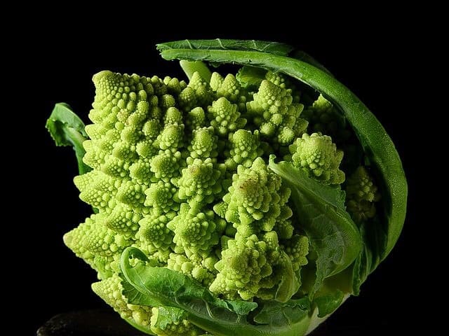 Researchers in Britain have discovered that fibre from broccoli reduces E. coli translocation in isolated intestinal cells. This is Romanesco broccoli.