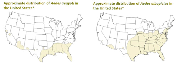 Maps showing where the disease carrying mosquitos, Aedes aegypti and Aedes albopictus, have been found in the United States.