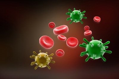 Influenza virus particles are readily spread between humans during the cooler months
