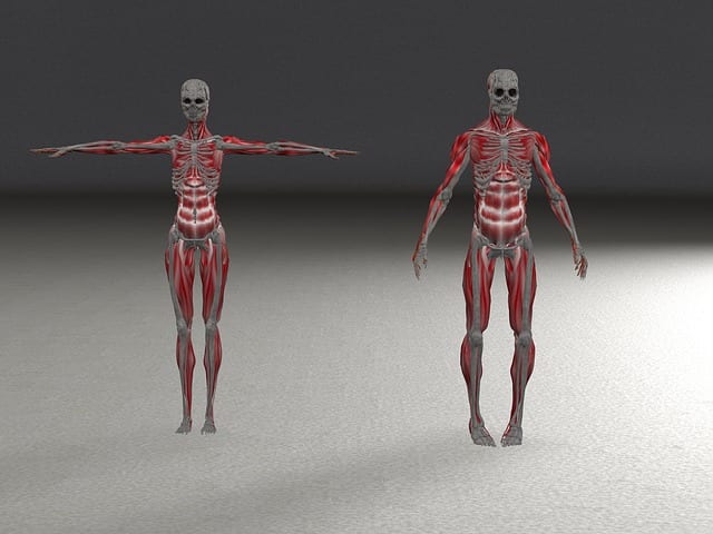 Every human has unique characteristics and 3D models allow doctors pre-surgical practice on the model, before they operate on the patient.