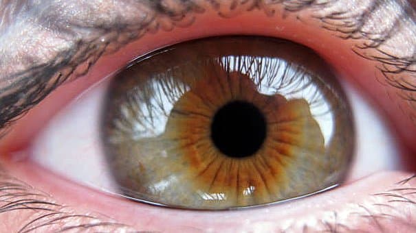 Help your doctor diagnose your condition by providing a precise and accurate description of what you are experiencing. This will help you get on the path to recovery.