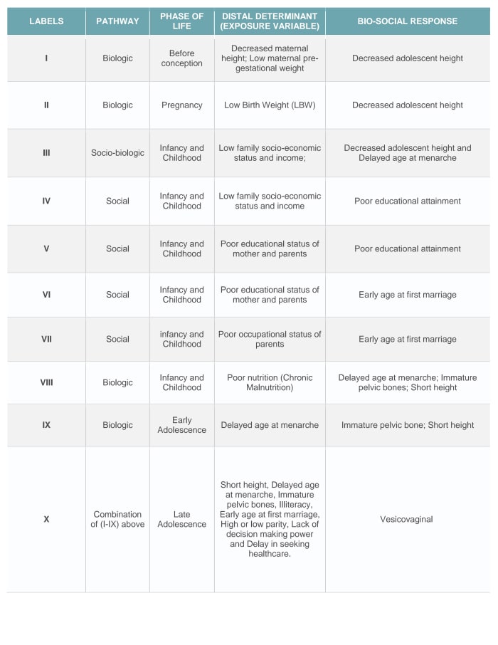 A number of studies have shown associations between the listed determinants and their respective bio-social responses.
