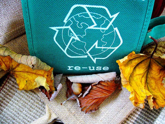 Reasons why you should recycle: Bag with the recycle symbol printed on the side. When going to the store, you always try to take your own bags, rather than relying on the plastic ones that they give you.