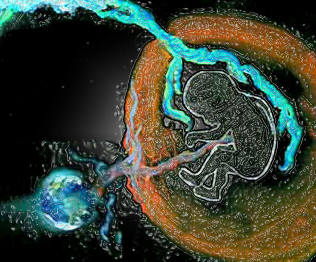 Fetus floating in amniotic fluid in space with umbilical to earth. Soft pastel on black paper altered in PhotoShop, an illustration for Gift of the Gruldak, a serialized sci-fi novel.
