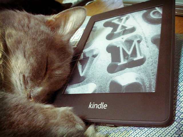 There's nothing like curling up with a kitty and a good book. My Kindle ensures that I have books wherever I go!