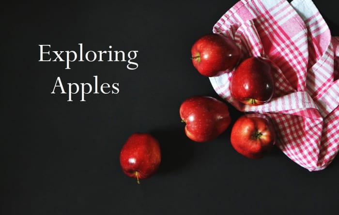 From the Garden of Eden to today, learn all about the history of the apple and how to use it in creative recipes.