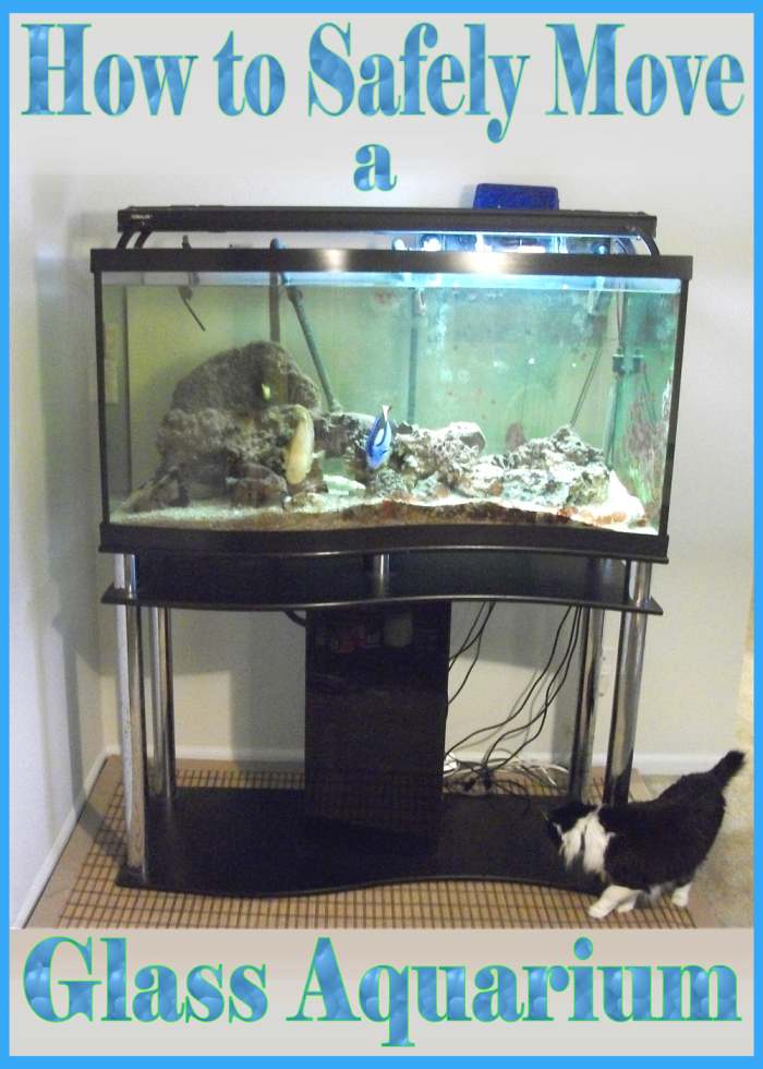 How to Move an Empty Glass Aquarium Over 75 Gallons in Size PetHelpful