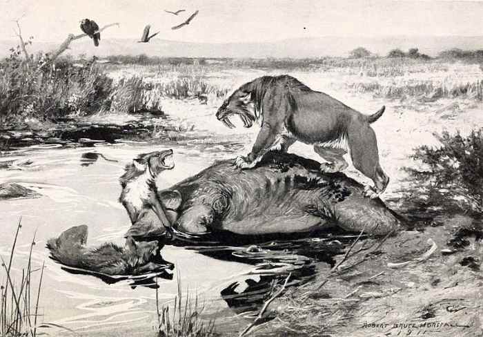 Prehistoric predators Smilodon and the dire wolf do battle at the La Brea Tar Pits.